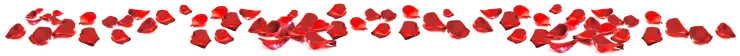 rose pedals