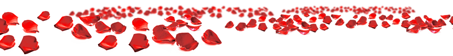 pile of rose pedals