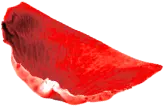 rose pedal